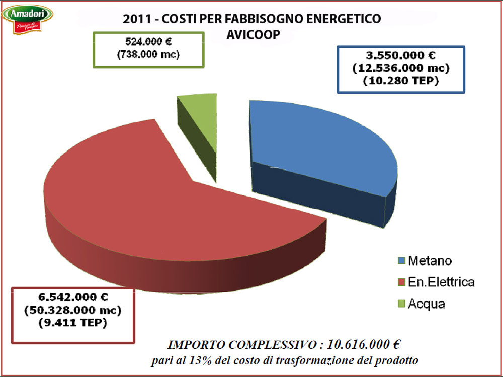 Electrex - Amadori Group - Energy as a strategic resource to support growth. The ISO 50001 Energy Management System certification