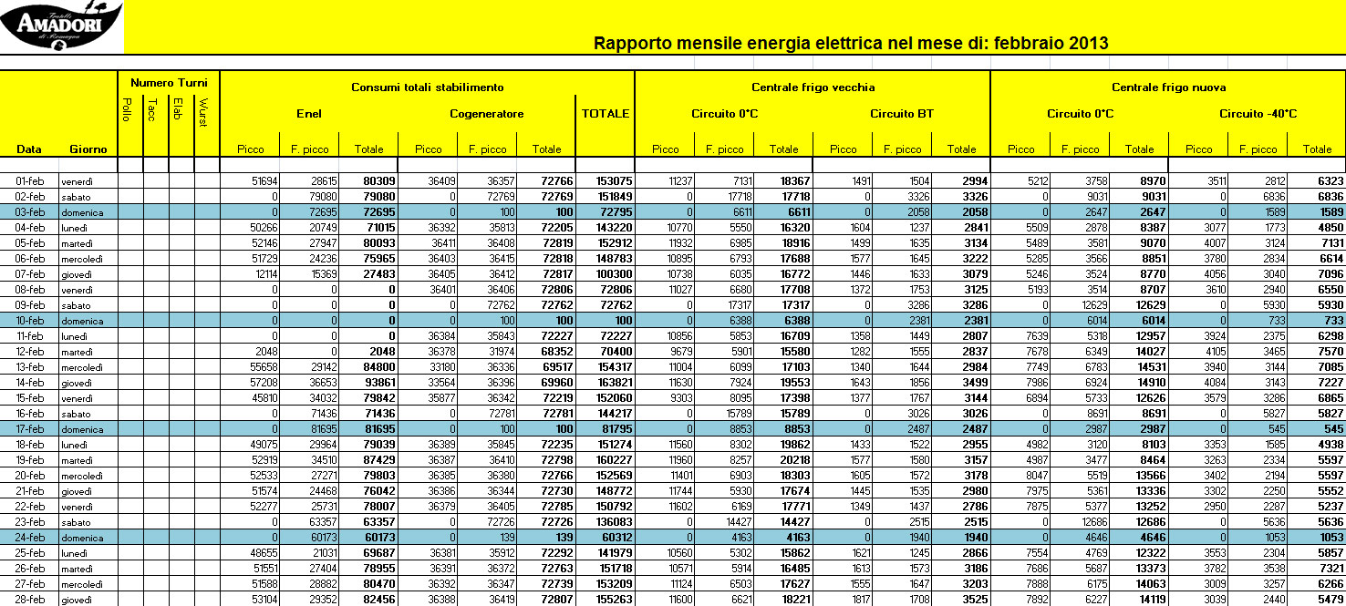 Electrex Report - Electrex - Amadori Group - Energy as a strategic resource to support growth. The ISO 50001 Energy Management System certification